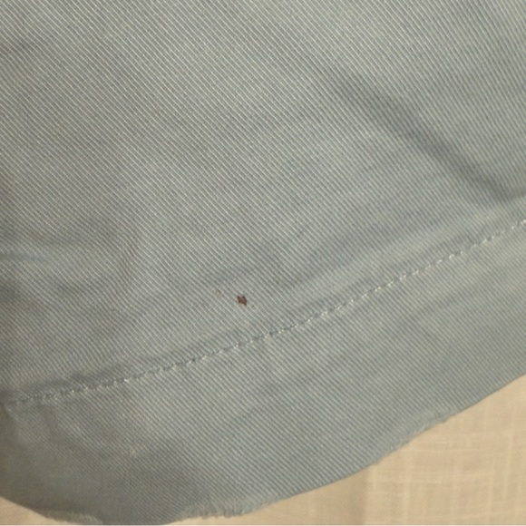 American Eagle Outfitters Blue Flex Shorts Size 34 Mens - Picture 3 of 6